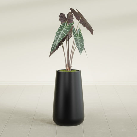 Saigon Tapered Round fiberglass planter in Matte Black, shown planted, in a sunlit interior