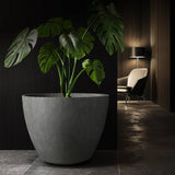 Lupo tapered round Cosapots fiberglass planter, shown planted with a monstera in a darkened interior.
