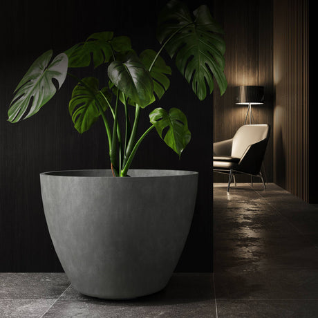 Lupo tapered round Cosapots fiberglass planter, shown planted with a monstera in a darkened interior.