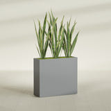Delray Rectangular fiberglass planter in Matte Gunmetal, shown planted, in a sunlit interior