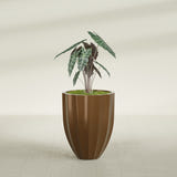 Alicante Fluted fiberglass planter in Metallic Bronze, shown planted, in a sunlit interior
