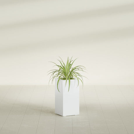 Hollywood Corner fiberglass planter in Matte Bright White, shown planted, in a sunlit interior