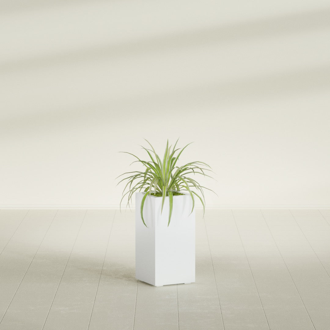 Hollywood Narrow Rectangular fiberglass planter in Matte Bright White, shown planted, in a sunlit interior