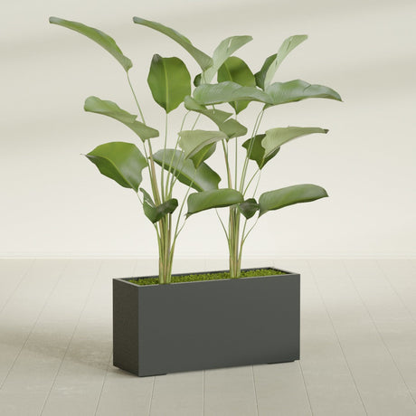 Tolga Corner fiberglass planter in Matte Charcoal, shown planted, in a sunlit interior