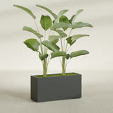 Tolga Rectangular fiberglass planter in Matte Charcoal, shown planted, in a sunlit interior