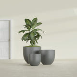 Alzira Bowl fiberglass planter in Matte Gunmetal, size range, in a sunlit interior