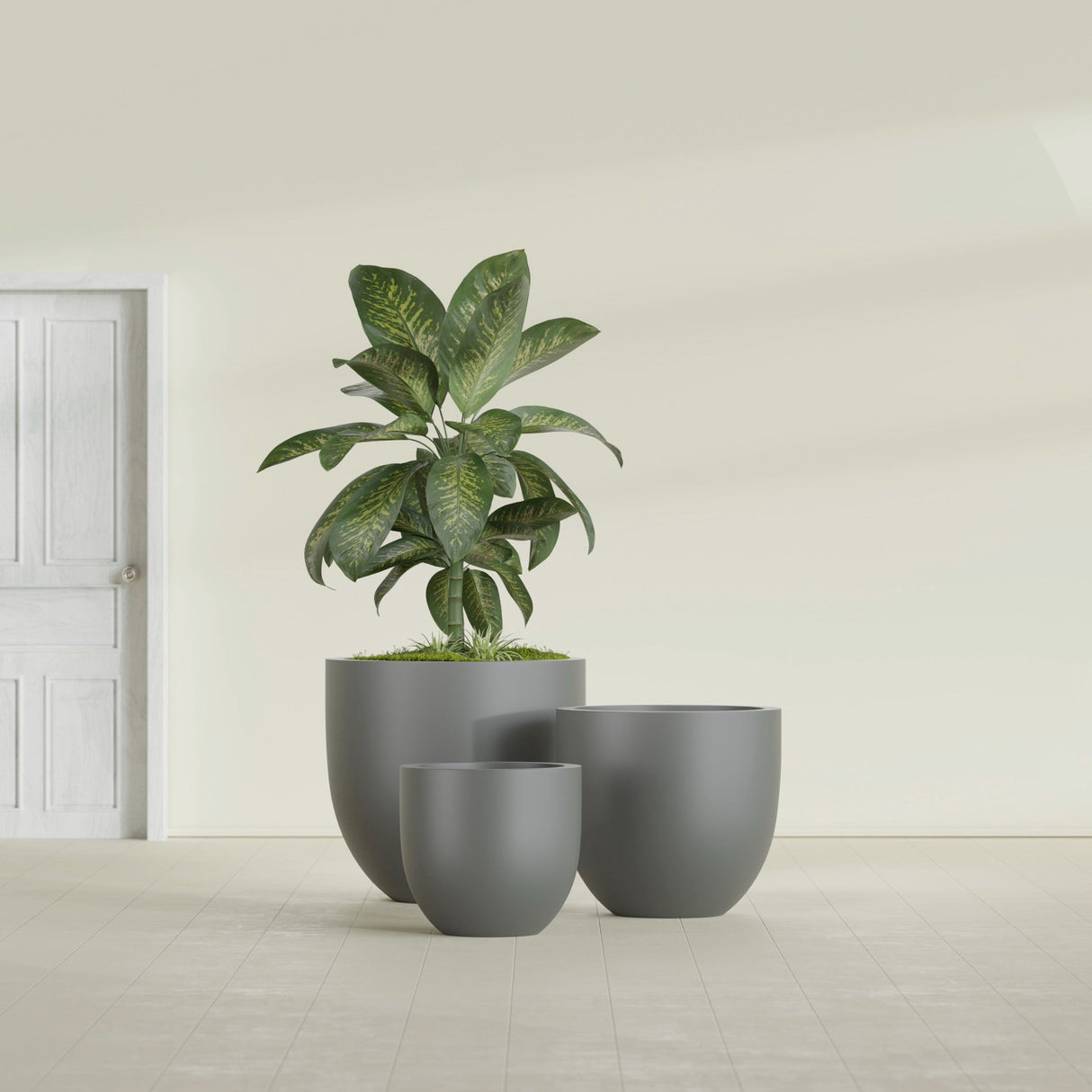 Alzira Bowl fiberglass planter in Matte Gunmetal, size range, in a sunlit interior