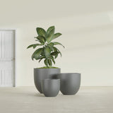 Alzira Bowl fiberglass planter in Matte Gunmetal, size range, in a sunlit interior