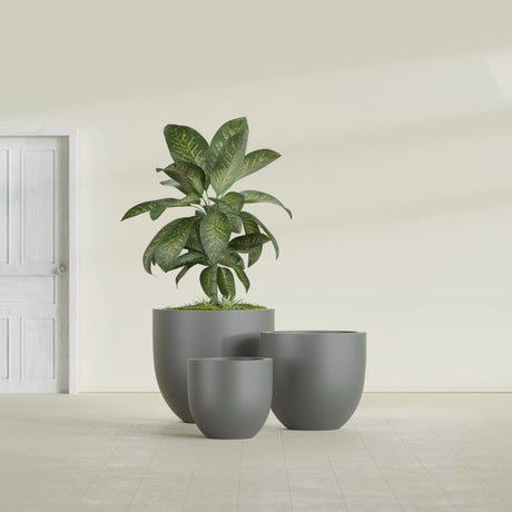 Alzira Bowl fiberglass planter in Matte Gunmetal, size range, in a sunlit interior
