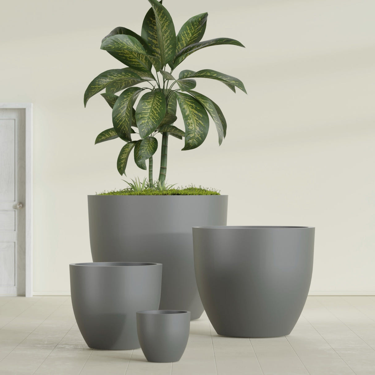 Wannsee Round fiberglass planter in Matte Gunmetal, size range, in a sunlit interior