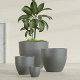 Wannsee Round fiberglass planter in Matte Gunmetal, size range, in a sunlit interior