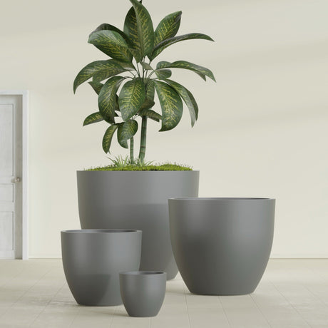 Wannsee Round fiberglass planter in Matte Gunmetal, size range, in a sunlit interior