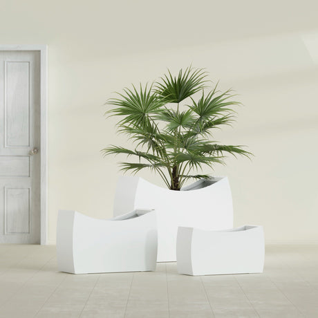 Seoul Curved fiberglass planter in Gloss Bright White, size range, in a sunlit interior