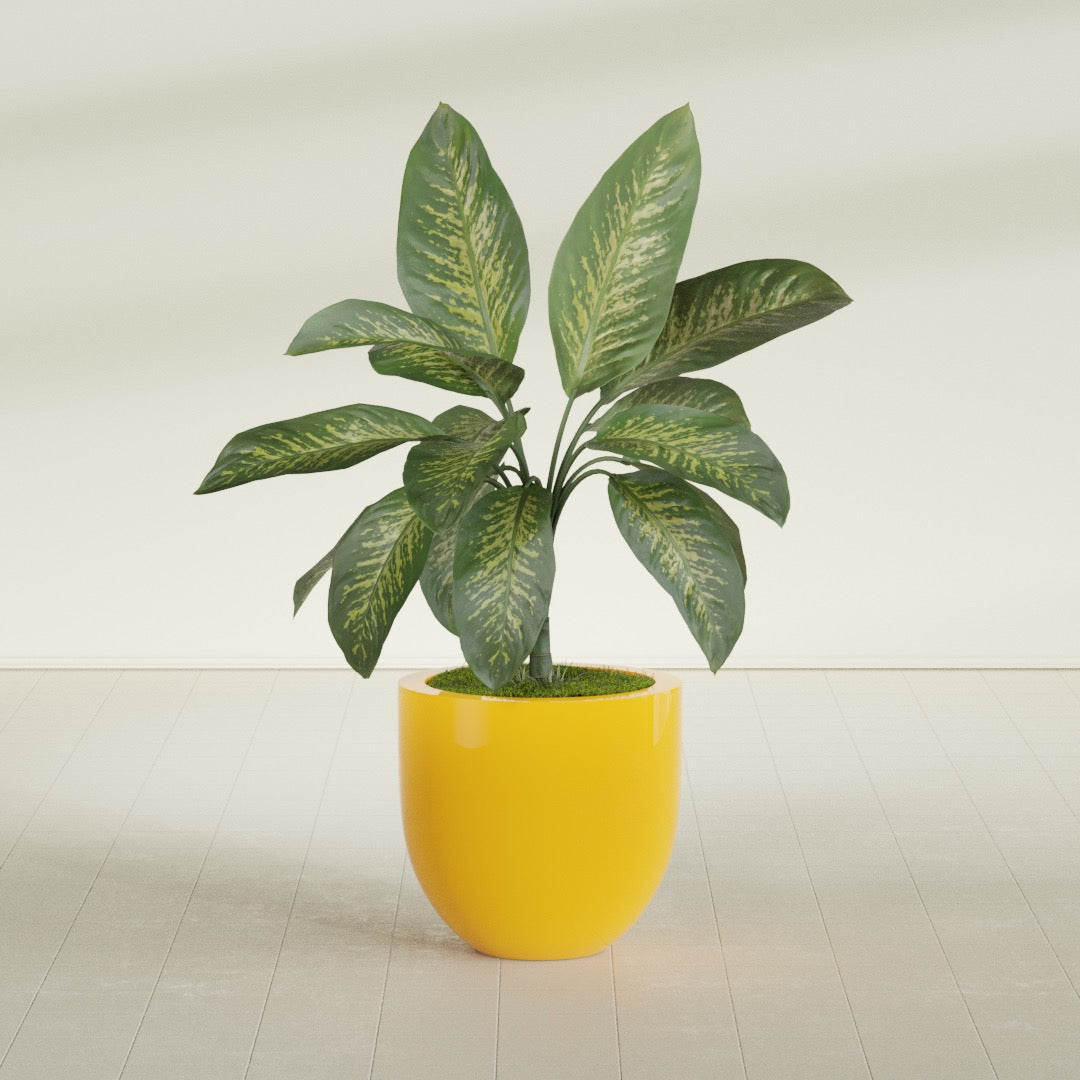 Alzira Bowl fiberglass planter in Gloss Saffron, shown planted, in a sunlit interior