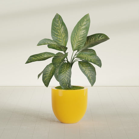 Alzira Bowl fiberglass planter in Gloss Saffron, shown planted, in a sunlit interior