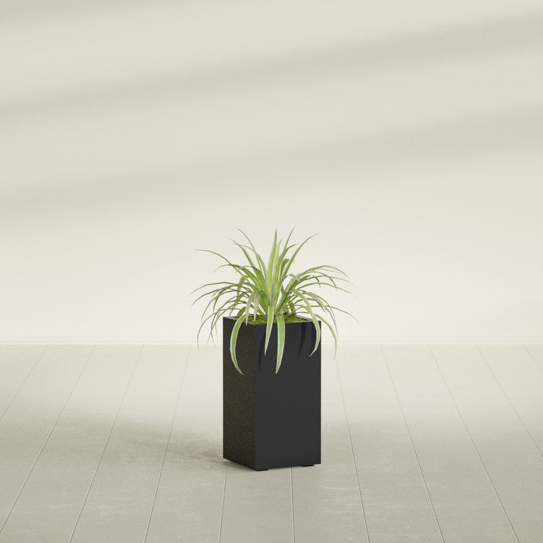 Hollywood Narrow Rectangular fiberglass planter in Matte Black, shown planted, in a sunlit interior