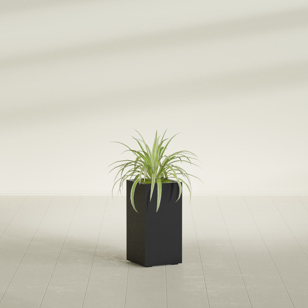 Hollywood Narrow Rectangular fiberglass planter in Matte Black, shown planted, in a sunlit interior