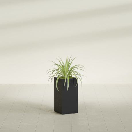 Hollywood Narrow Rectangular fiberglass planter in Matte Black, shown planted, in a sunlit interior