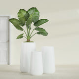 Saigon Tapered Round fiberglass planter in Gloss Bright White, size range, in a sunlit interior