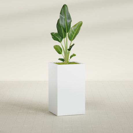 Darwin Corner fiberglass planter in Gloss Bright White, shown planted, in a sunlit interior