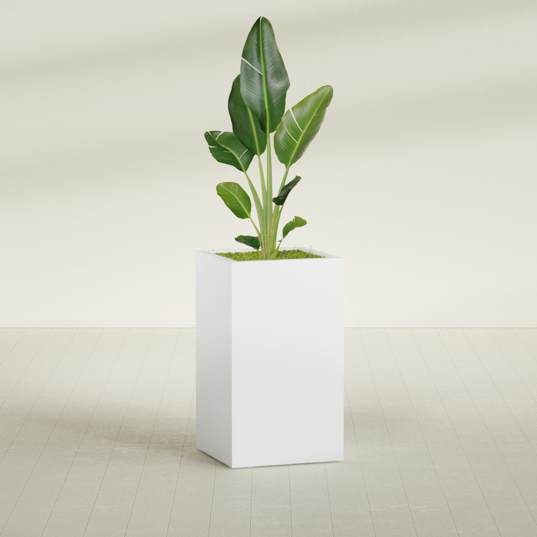 Darwin Rectangular fiberglass planter in Gloss Bright White, shown planted, in a sunlit interior