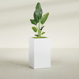 Darwin Rectangular fiberglass planter in Gloss Bright White, shown planted, in a sunlit interior