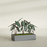 Antwerp Rectangular fiberglass planter in Matte Gunmetal, shown planted, in a sunlit interior