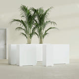 Perth Rectangular fiberglass planter in Gloss Bright White, size range, in a sunlit interior