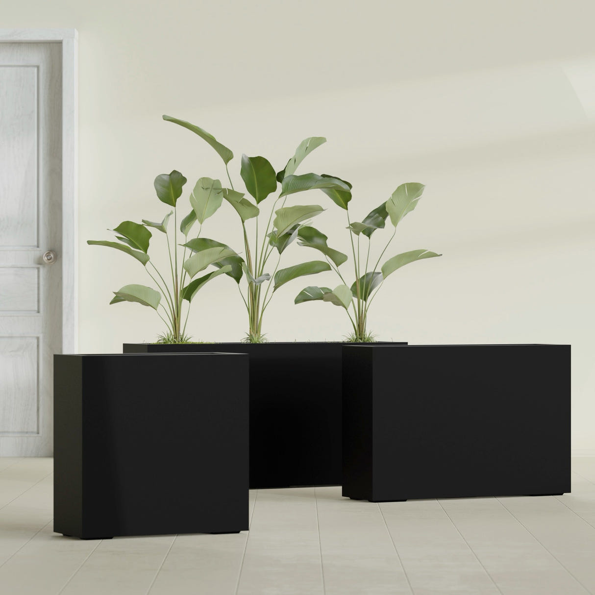 Milano Narrow Rectangular fiberglass planter in Matte Black, shown planted, in a sunlit interior