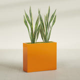 Perth Rectangular fiberglass planter in Gloss Tangerine, shown planted, in a sunlit interior