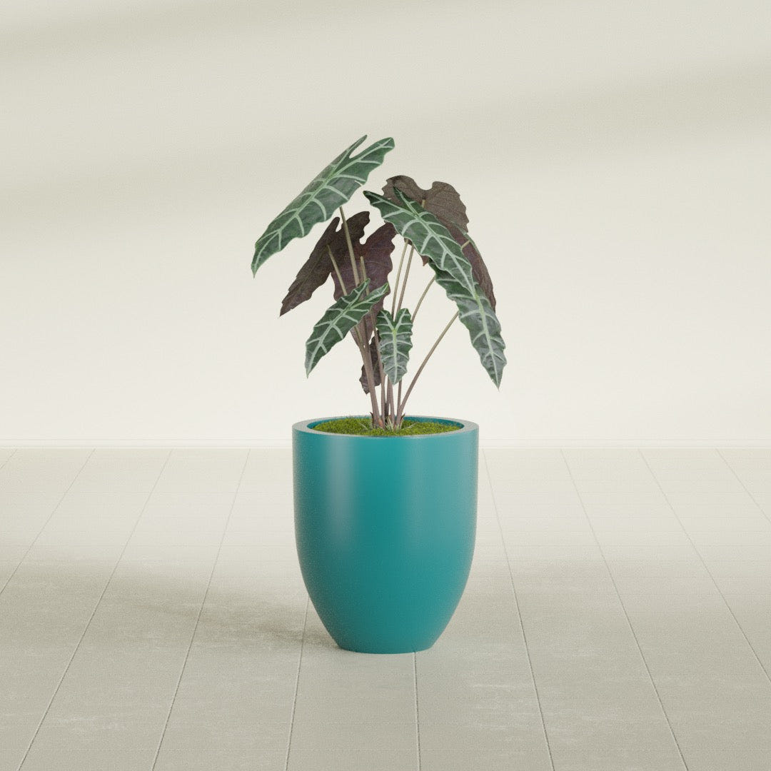 Valencia Tapered Round fiberglass planter in Satin Seafoam Green, shown planted, in a sunlit interior