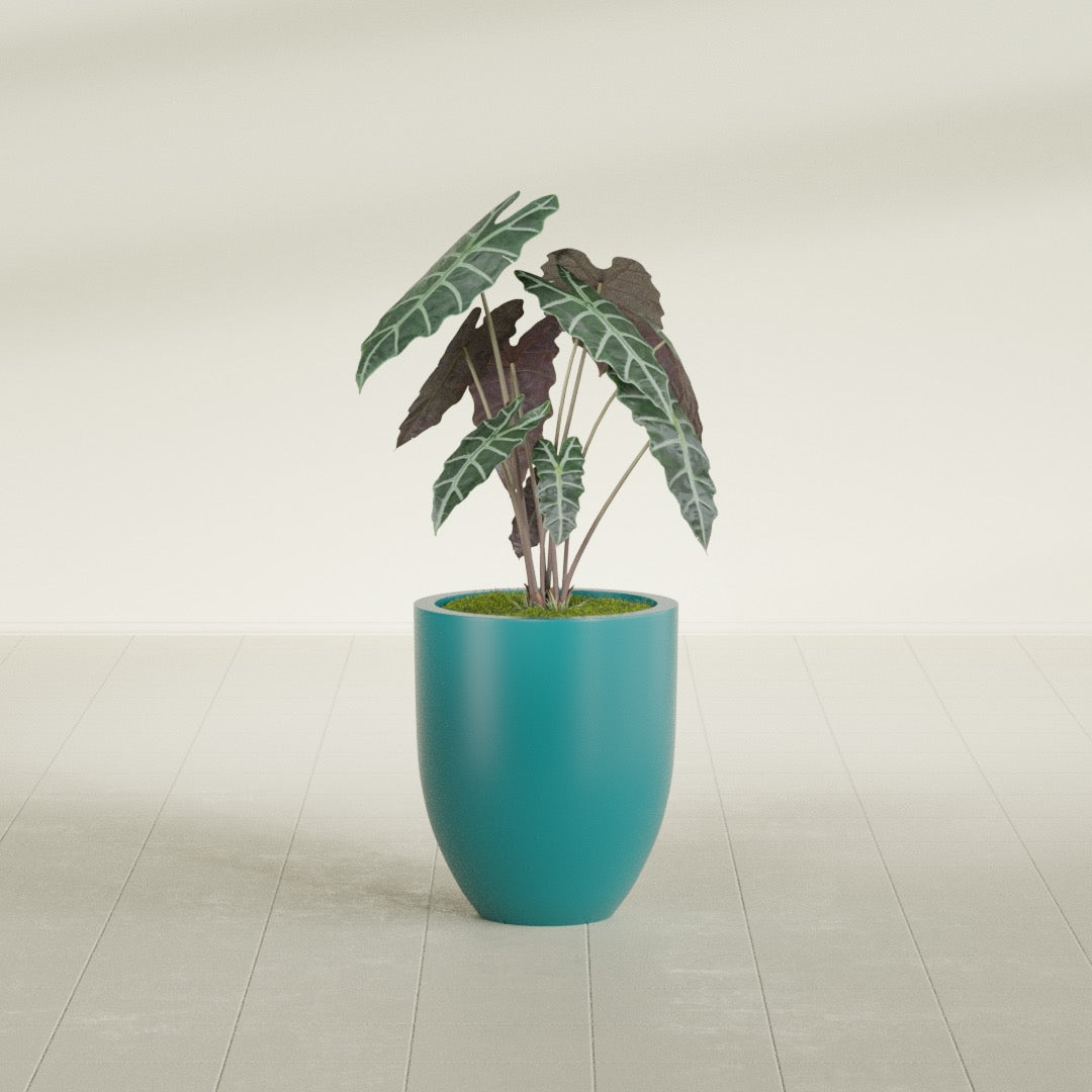 Valencia Tapered Round fiberglass planter in Satin Seafoam Green, shown planted, in a sunlit interior
