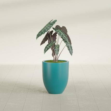 Valencia Tapered Round fiberglass planter in Satin Seafoam Green, shown planted, in a sunlit interior