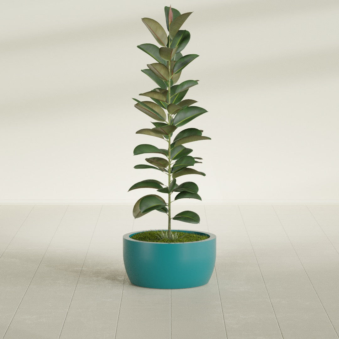 Casablanca Bowl fiberglass planter in Satin Seafoam Green, shown planted, in a sunlit interior