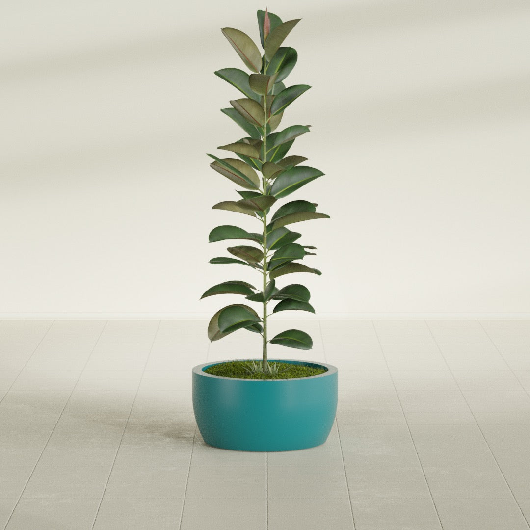 Casablanca Bowl fiberglass planter in Satin Seafoam Green, shown planted, in a sunlit interior
