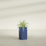 Hollywood Narrow Rectangular fiberglass planter in Matte Cobalt Blue, shown planted, in a sunlit interior