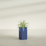 Hollywood Corner fiberglass planter in Matte Cobalt Blue, shown planted, in a sunlit interior