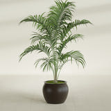 Shanghai Fishbowl fiberglass planter in Matte Dark Brown, shown planted, in a sunlit interior