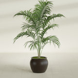 Shanghai Fishbowl fiberglass planter in Matte Dark Brown, shown planted, in a sunlit interior