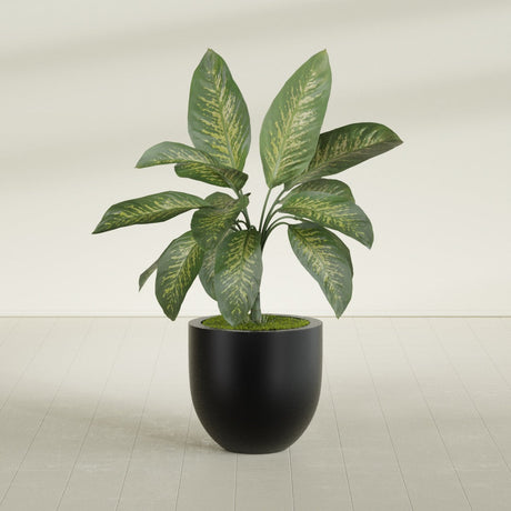 Alzira Bowl fiberglass planter in Matte Black, shown planted, in a sunlit interior