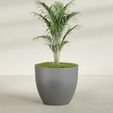 Wannsee Round fiberglass planter in Matte Gunmetal, shown planted, in a sunlit interior