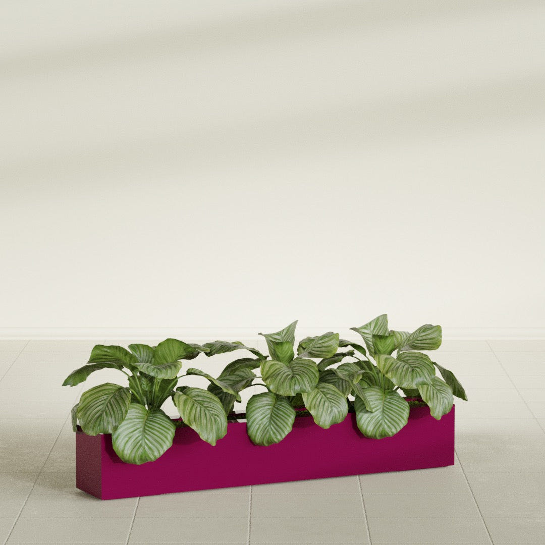 Salon Box fiberglass planter in Gloss Eggplant, shown planted, in a sunlit interior