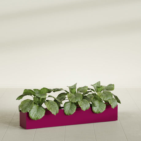Salon Box fiberglass planter in Gloss Eggplant, shown planted, in a sunlit interior