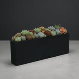 Camoux Narrow fiberglass planter in Matte Black, planted with dense run of compact succulent rosettes filling the opening, studio