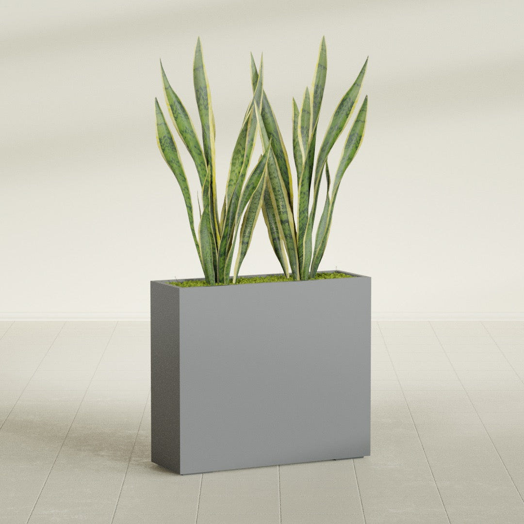 Perth Corner fiberglass planter in Matte Gunmetal, shown planted, in a sunlit interior