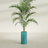Corry Cylinder fiberglass planter in Satin Seafoam Green, shown planted, in a sunlit interior