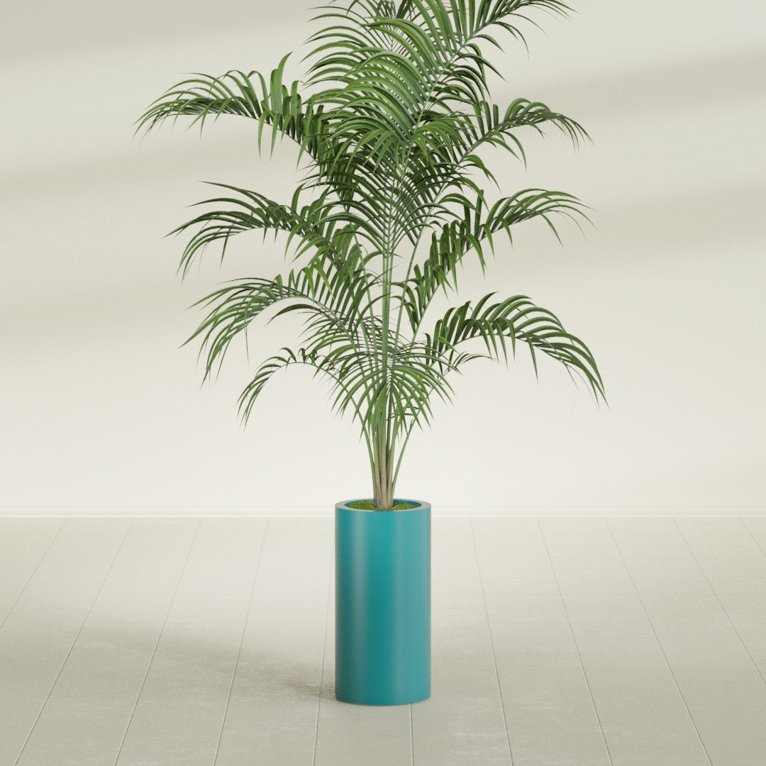 Corry Cylinder fiberglass planter in Satin Seafoam Green, shown planted, in a sunlit interior