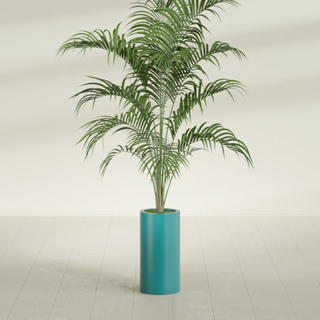 Corry Cylinder fiberglass planter in Satin Seafoam Green, shown planted, in a sunlit interior