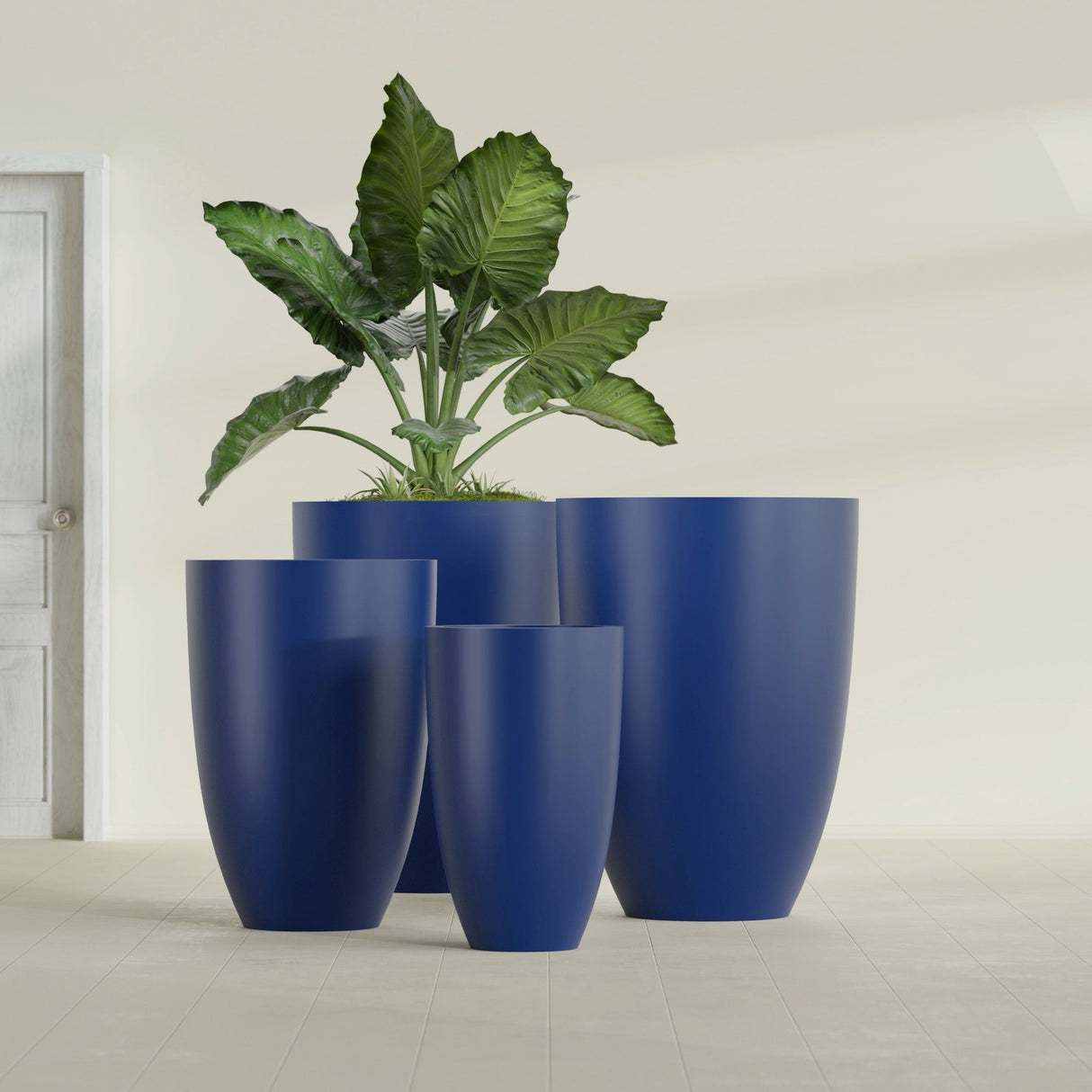 Brannan Tapered Round fiberglass planter in Matte Cobalt Blue, size range, in a sunlit interior