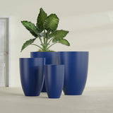 Brannan Tapered Round fiberglass planter in Matte Cobalt Blue, size range, in a sunlit interior